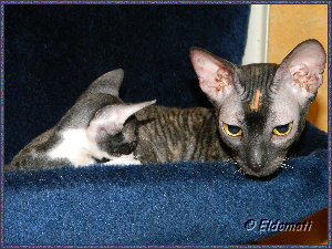 Nelson mit Oma Eesha