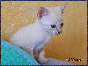 Da ist Mama... Da ist Mama....