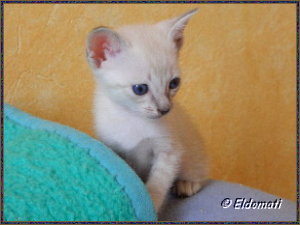 ....ob sie mit mir spielt? .....ob sie mit mir spielt?