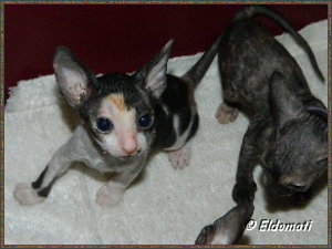Lucy und Luna Lucy und Luna