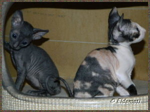 Laura und Lucy Laura und Lucy
