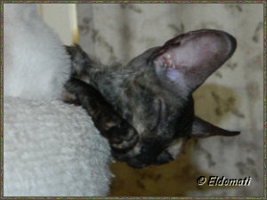 Luna schläft...