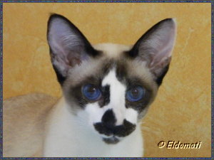 Jane Doe mit ihren wundervollen blauen Augen