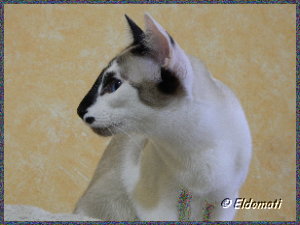 Josefinchen