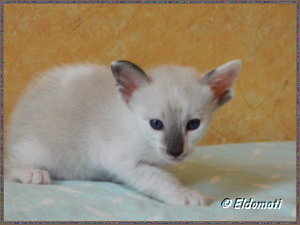 Das ist Josefine Das ist Josefine