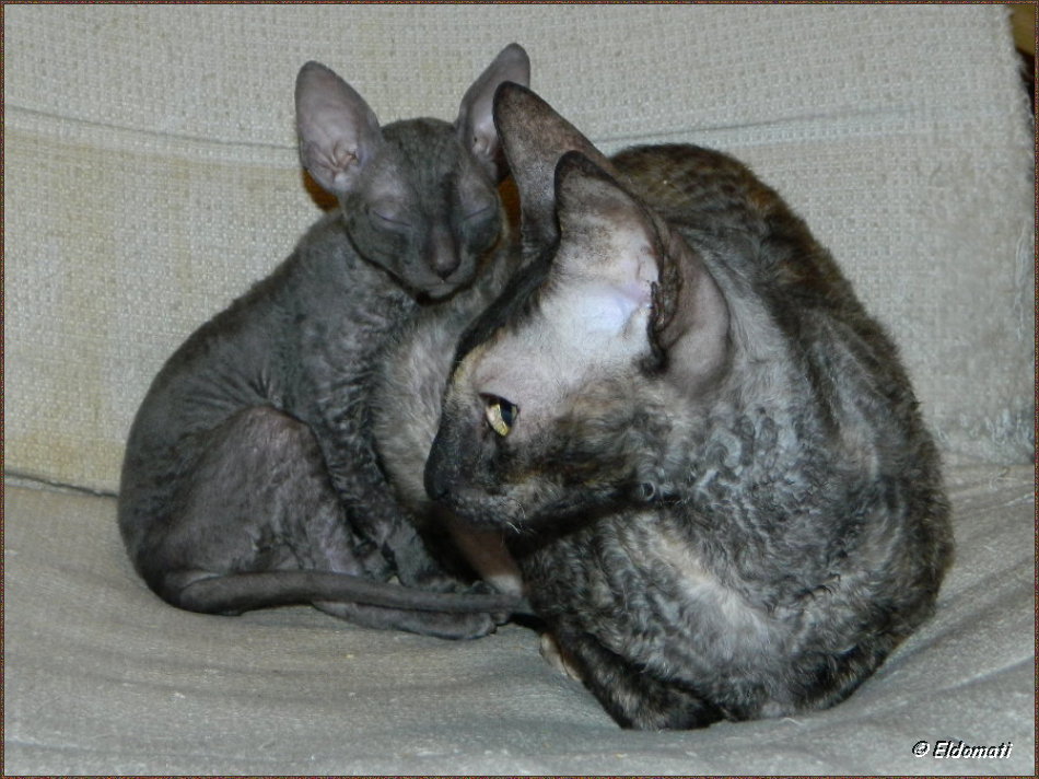 Myra mit ihrer großen Schwester Luna