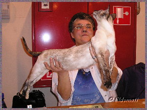 ... und bei der Richterin Frau Lambrechts-Liekens ... und bei der Richterin Frau Lambrechts-Liekens