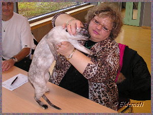 Biene bei 'Gericht' mit Frau Zielinsky... Biene bei 'Gericht' mit Frau Zielinsky...