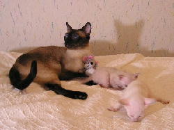 Bobby with his Grandchildren Daliah and Darwin