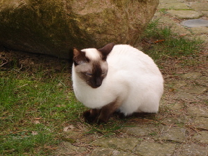 Cario am 19.02.2007