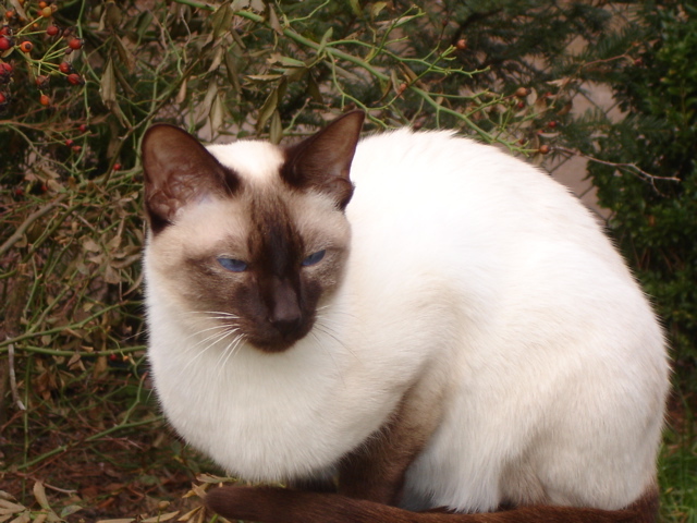 Cario am 19.02.2007