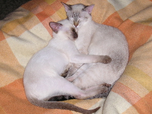 Cari�o and his older sister Amaryllis