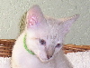 Fiona Fiona
