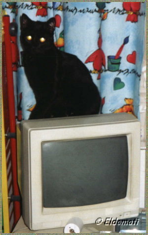 Merlins Computer Winter 2003/2004 Merlins Computer Winter 2003/2004