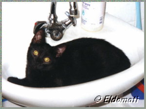 Wenn ich größer werde, brauche ich ein neues Waschbecken. Frühjahr 2004 Wenn ich größer werde, brauche ich ein neues Waschbecken. Frühjahr 2004