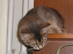 05.11.2007
